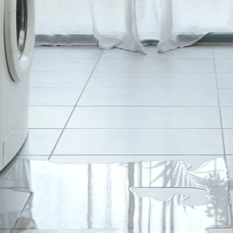 Appliance Leak Cleanup in Chevy Chase, MD
