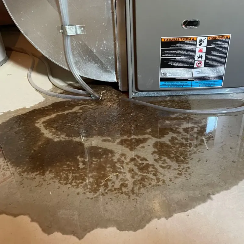 Pipe Burst and Leak Restoration in Chevy Chase, MD